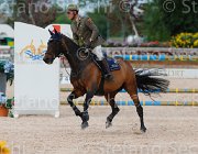 COATA CHIKA'S WAY ItaAss2013- S5 1469 : CHIKA'S WAY, COATA SIMNONE, Campionati Italiani 2013, Cattolica, Horse Riviera Resort, foto di Stefano Secchi ©